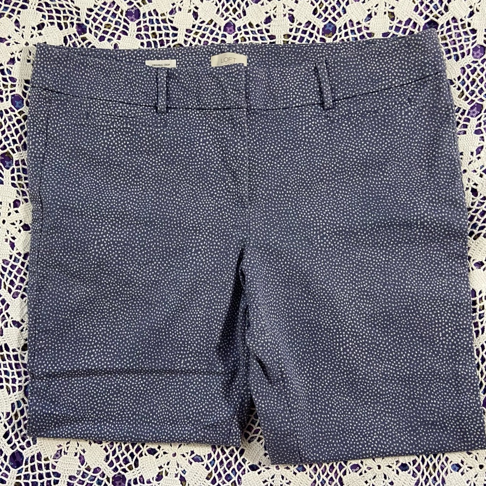 Loft outlet Original Crop Size 16
